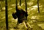 O filme mais bonito sobre a morte ressuscitou no streaming