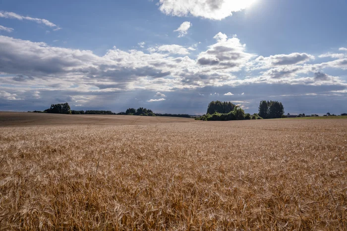 Cooperativa Agrária / Divulgação Cooperativa Agrária / Divulgação