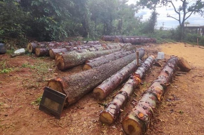 3º Batalhão Ambiental da Brigada Militar / Divulgação