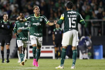 Rafael Navarro, Palmeiras