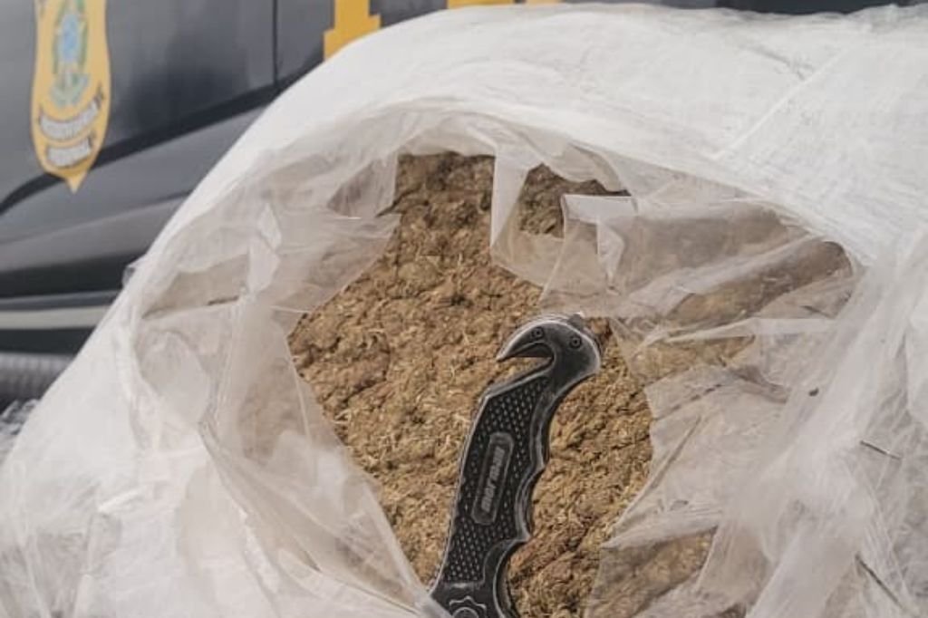 Passageiro &eacute; preso com 9 quilos de skunk em &ocirc;nibus na BR-116, em Pelotas