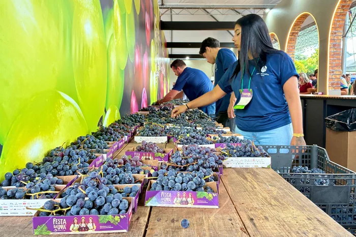 Juliana Bevilaqua / Divulgação Juliana Bevilaqua / Divulgação