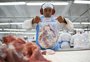 Frigorífico do noroeste gaúcho envia a primeira carga de carne suína às Filipinas