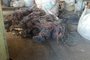 Guarda Municpal recuperou 10 toneladas de fios furtados que eram transportados por caminhões no bairro Lami<!-- NICAID(15414640) -->