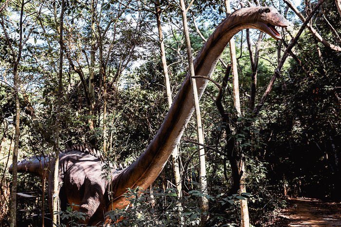 Terra dos Dinos / Divulgação Terra dos Dinos / Divulgação
