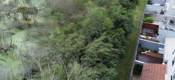 Arquivo Pessoal / Arquivo Pessoal