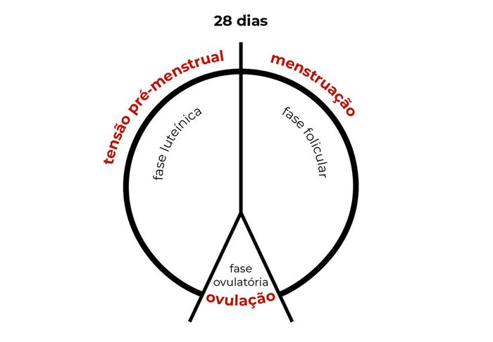 Reprodução / Reprodução Reprodução / Reprodução