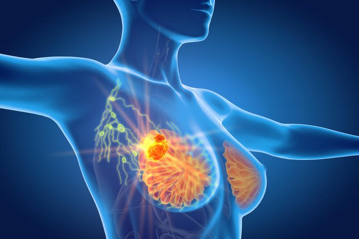 Axel Kock / stock.adobe.com Axel Kock / stock.adobe.com