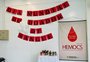 Dia Mundial do Doador de Sangue é celebrado com atividades no Hemocentro de Caxias do Sul