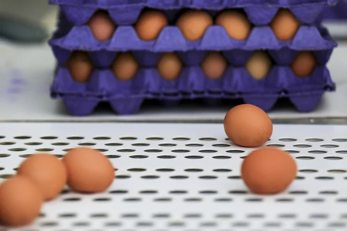 Mateus Bruxel / Agencia RBS