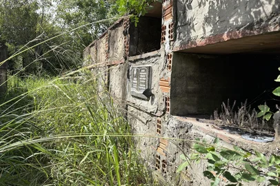 Más condições de cemitérios incomodam moradores de Sapucaia do Sul. Reportagem esteve nos cemitérios municipais Pio XII e João XXIII e identificou mato alto, túmulos abertos e mau cheiro em ambos. <!-- NICAID(16265927) -->