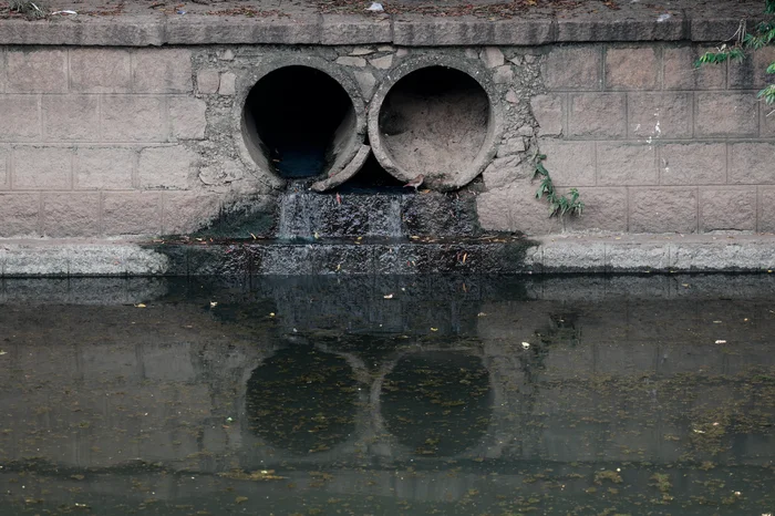 André Ávila / Agencia RBS