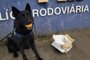 VÍDEO: cão farejador encontra droga em ônibus em Eldorado do Sul<!-- NICAID(15591807) -->