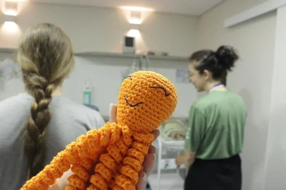 Cada um dos 18 polvos de crochê, entregues nesta semana ao Hospital Geral (HG), passou por muitas mãos antes dos bebês prematuros da Unidade de Tratamento Intensivo (UTI) Neonatal colocarem as mãos nas pelúcias que imitam o cordão umbilical da mãe. Isso pois os crochês foram confeccionados pelos alunos 8º ano do CETEC Fundamental e entregues, nesta segunda-feira (11), aos recém-nascidos.<!-- NICAID(15624317) -->