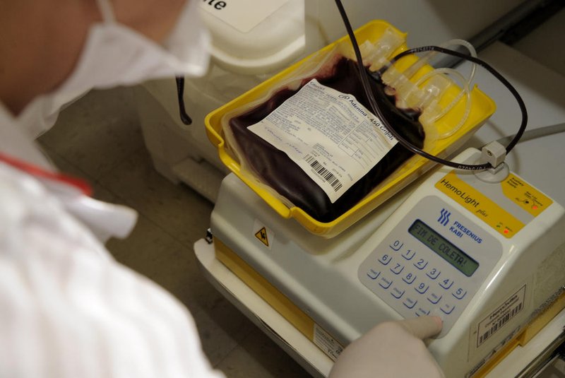 CAXIAS DO SUL, RS, BRASIL, 24/11/2016 -  Para marcar o dia de doação de sangue, grupode torcedoras da dupla Ca - Ju promove ação para coleta de sangue. Ação ocorreu no Hemovita. (Marcelo Casagrande/Agencia RBS)<!-- NICAID(12583505) -->