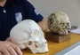 Crânios encontrados em Caxias: saiba como técnicos forenses trabalham para identificar as vítimas