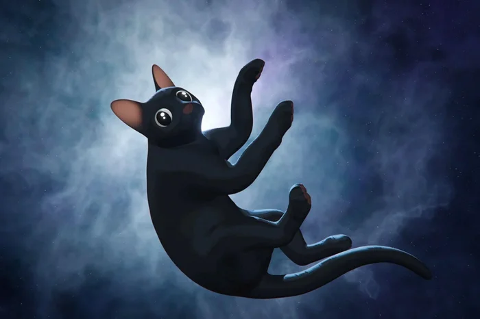 Mares Filmes / Divulgação Mares Filmes / Divulgação