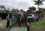  Após resgate de égua em Esteio, polícia identifica e autua duas pessoas por crueldade contra animais