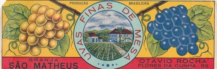 Acervo de Floriano Molon / divulgação