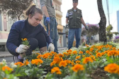 A Praça Dante Alighieri recebeu, na manhã deste domingo (2), uma revitalização nos bancos, lixeiras e canteiros. Secretários e servidores municipais de Caxias do Sul realizaram um mutirão de limpeza, pequenos reparos e pintura nos bancos e lixeiras, assim como o centro de informações ao turista. Além disso, os canteiros da praça e da Avenida Júlio de Castilhos receberam novas mudas de flores. A ação marca a retomada do programa Luz, Cor e Flor.<!-- NICAID(15392192) -->