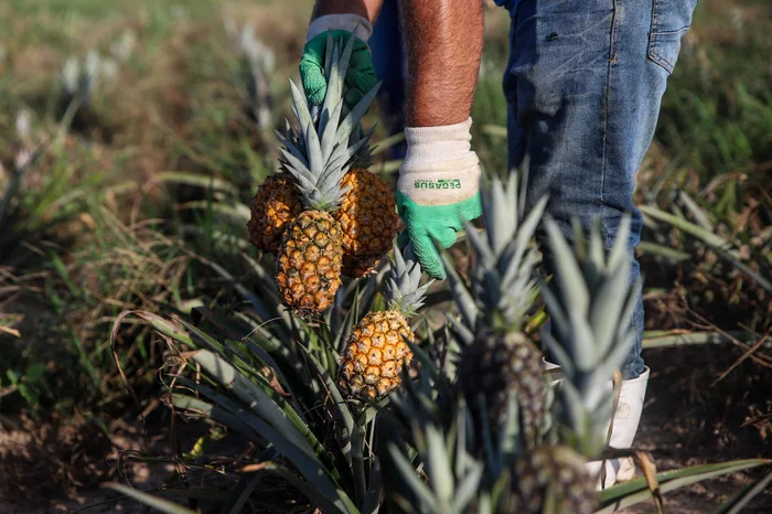 Duda Fortes / Agencia RBS