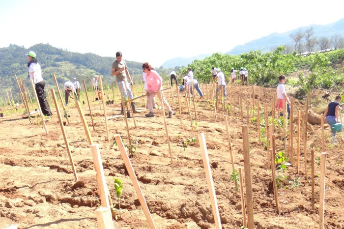 Fernanda Bruxel / Equipe dos projetos da Univates Fernanda Bruxel / Equipe dos projetos da Univates