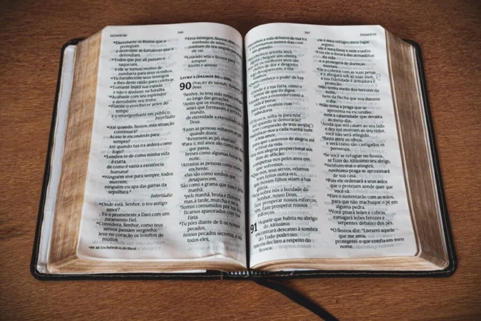 Victor Araujo Smera / Shutterstock | Portal EdiCase