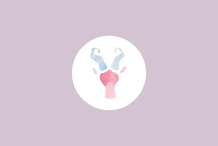 NotionPic / Shutterstock | Portal EdiCase NotionPic / Shutterstock | Portal EdiCase