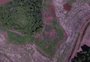 Em cinco anos, desmatamento atingiu 16,9 milhões de metros quadrados de floresta no norte do RS