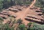 Mato Grosso concentra metade da exploração de madeira em toda Amazônia