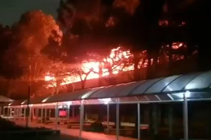 Redes Sociais / Reprodução