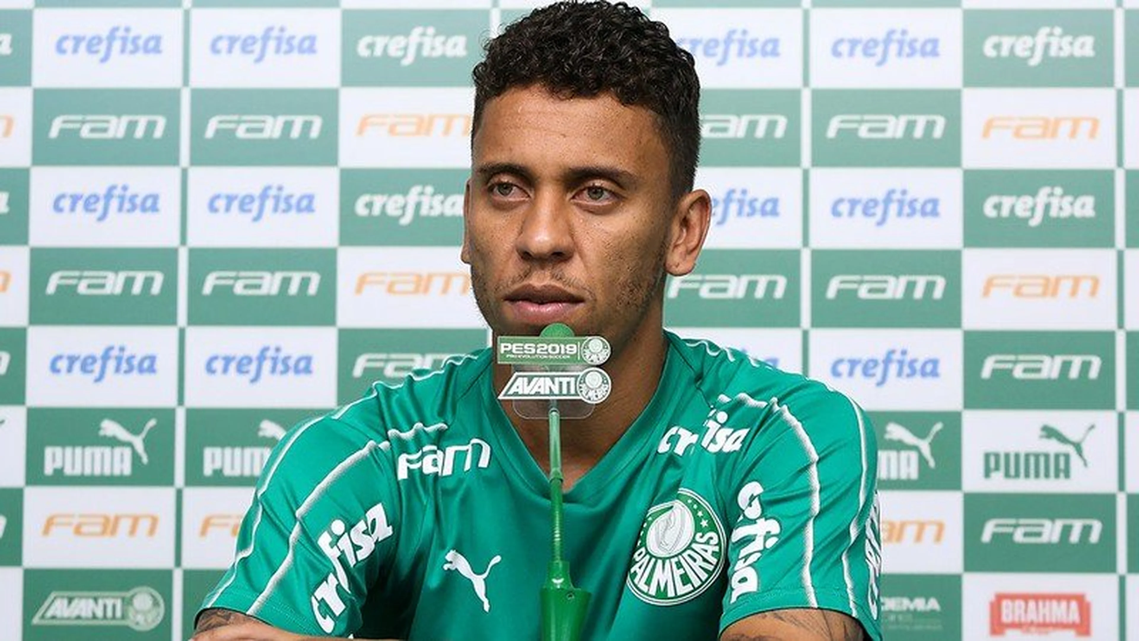 Cesar Greco/Palmeiras, Divulgação