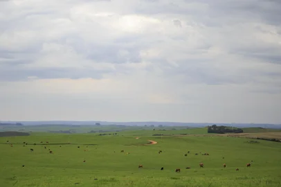 Lavras do Sul, RS, BRASIL - Pecuária Sustentável. Imagens na propriedade Parceria Agropecuária Labor.Indexador: Jeff Botega<!-- NICAID(15157353) -->