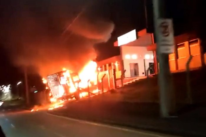 @tonzeralive / Reprodução/Twitter