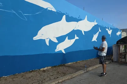 Laura Cosme / Grupo RBS Mural boto de lahille Cassino<!-- NICAID(16299347) -->
