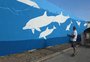 Boto-de-Lahille ganha painel de 165 metros quadrados no Cassino para marcar o Dia Mundial dos Oceanos