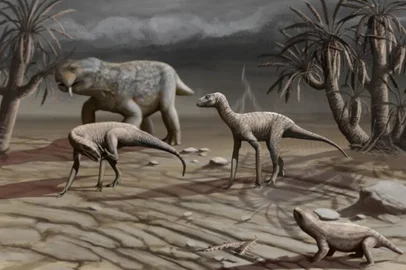 Tataravô dos dinossauros? Um dos mais antigos répteis gigantes do país é encontrado no RS<!-- NICAID(16051988) -->