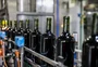 Sustentabilidade, novos terroirs e diminuição de produção e consumo de vinho são os desafios para o futuro da vitivinicultura