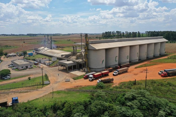 Cotribá / Divulgação