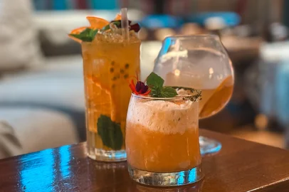 Ocre (sem álcool), Chimango e Tulipa<!-- NICAID(16092148) -->