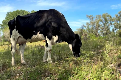 Iogurte é Bem+ Agro<!-- NICAID(16242665) -->