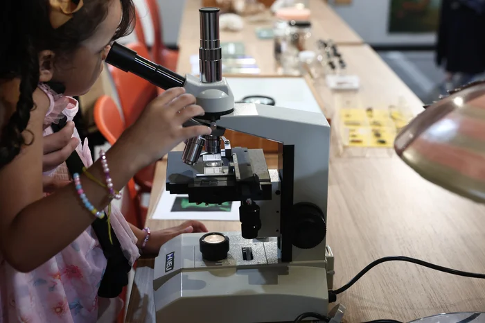 Jonathan Heckler / Agencia RBS