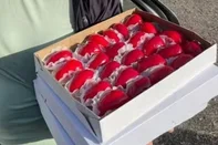 A doceira Elaine Sturbelle, pioneira nos doces caramelados na Fenadoce, em Pelotas, diz não estar dando conta dos pedidos por morango do amor.<!-- NICAID(16086988) -->