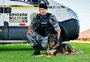 Morre cão policial que atuou por sete anos pela Brigada Militar em Caxias do Sul