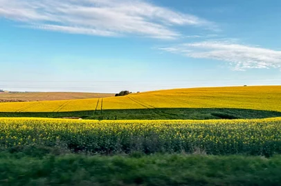 El Niño deve intensificar chuvas na primavera e acende alerta para trigo e canola no norte e noroeste do RS<!-- NICAID(16337812) -->