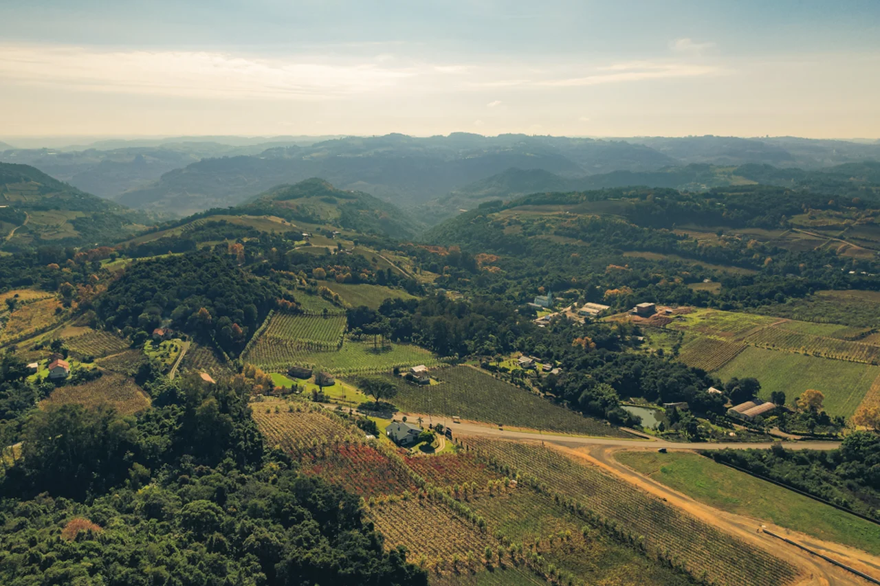 Wine Locals/Divulgação