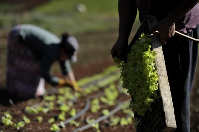 CAXIAS DO SUL, RS, BRASIL, 26/08/2019 A comunidade Mato Grande, no município de Muitos Capões, recebeu o Certificado de Autodefinição como Remanescente dos Quilombos, concedido pela Fundação Cultural Palmares.(Lucas Amorelli/Agência RBS)<!-- NICAID(14221529) -->