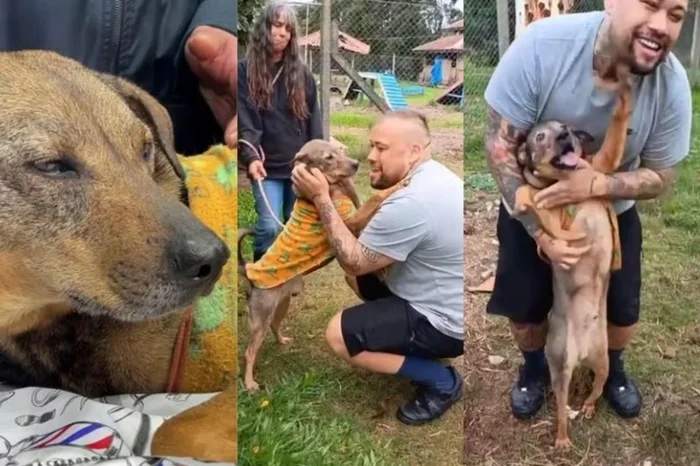 RBS TV/Arquivo Pessoal / Reprodução RBS TV/Arquivo Pessoal / Reprodução