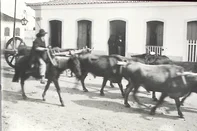 "Carros de boi - meio de transporte da época"Imagem do recém-digitalizado Arquivo Histórico Municipal de Rio Pardo<!-- NICAID(16301129) -->