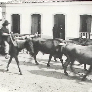 "Carros de boi - meio de transporte da época"Imagem do recém-digitalizado Arquivo Histórico Municipal de Rio Pardo<!-- NICAID(16301129) -->